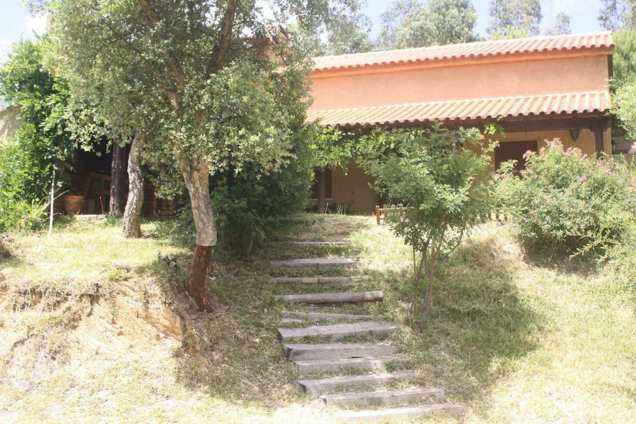Villa Casa Riotempo + Jangada à Tomar Extérieur photo